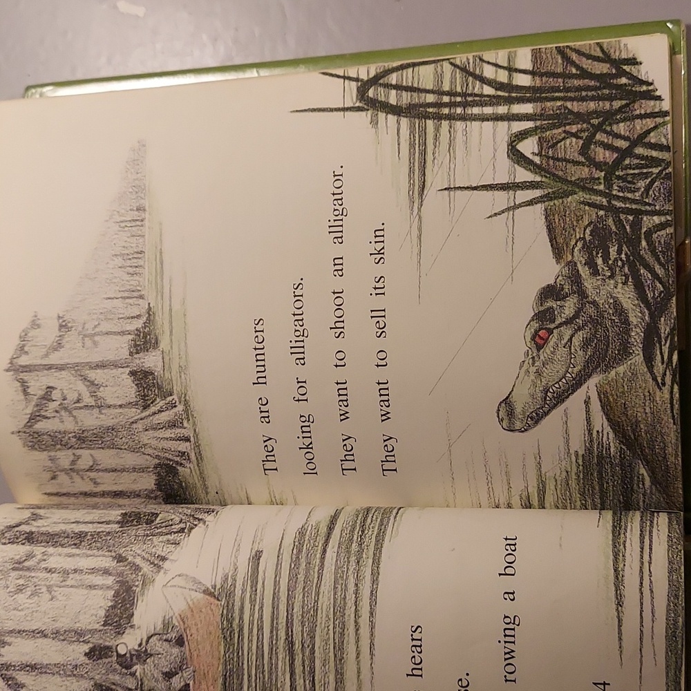 ❤️ Alligator - Picture 13 of 16